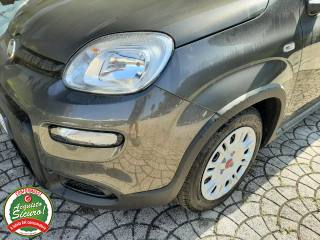 FIAT Panda usata, con Airbag