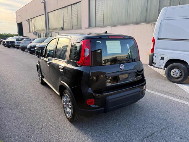 FIAT Panda usata, con Alzacristalli elettrici