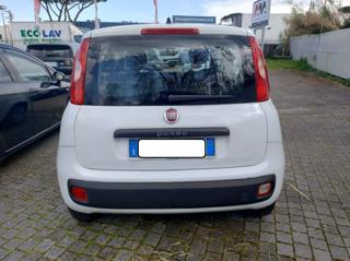 FIAT Panda usata, con Alzacristalli elettrici