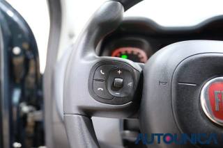 FIAT Panda usata, con Volante multifunzione