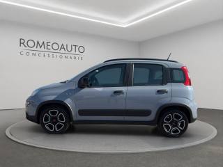 FIAT Panda usata, con Airbag Passeggero