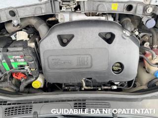 FIAT Panda Cross usata, con Immobilizzatore elettronico