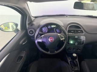 FIAT Punto usata 12