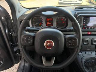 FIAT Panda Cross usata, con Volante multifunzione