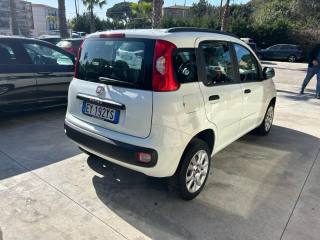 FIAT Panda usata, con Alzacristalli elettrici