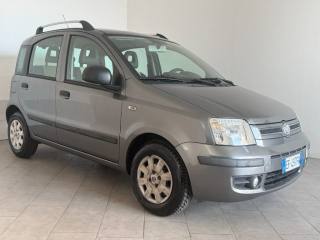 FIAT Panda usata 2