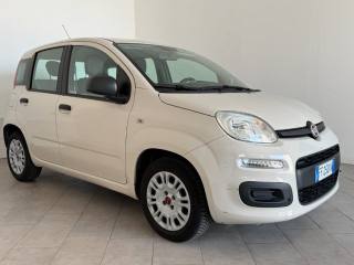 FIAT Panda usata 1