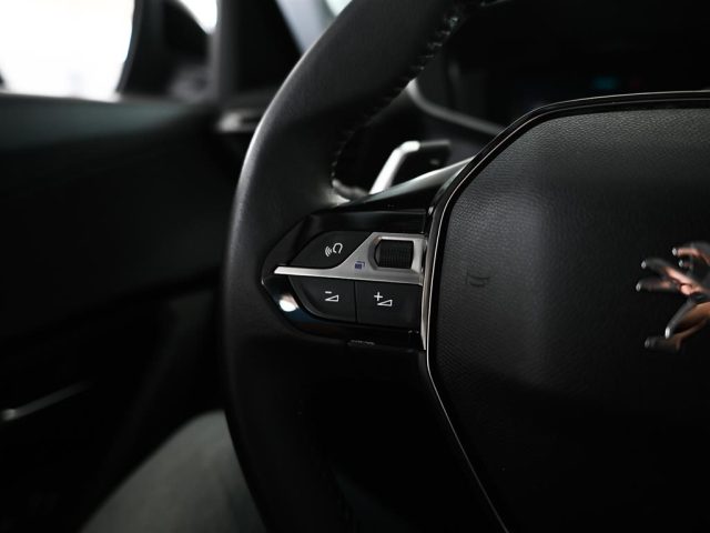 PEUGEOT 3008 usata, con Vetri oscurati