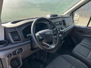 FORD Transit usata, con Fendinebbia