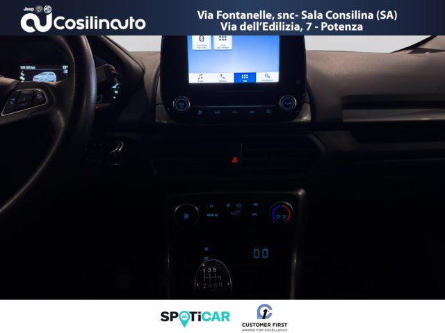 FORD EcoSport usata, con Fendinebbia