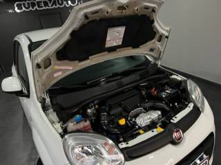 FIAT Panda usata, con Filtro antiparticolato
