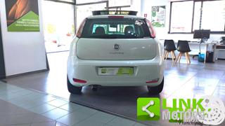 FIAT Punto Evo usata 5
