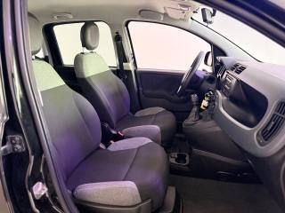 FIAT Panda usata 10