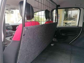 FIAT Panda usata 11