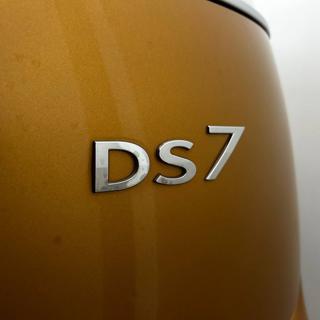 DS AUTOMOBILES DS 7 Crossback usata, con Specchietti laterali elettrici