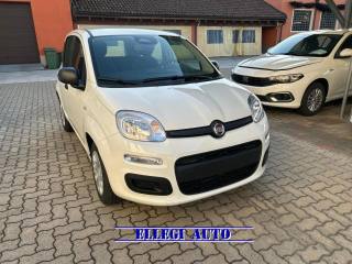 FIAT Panda PANDINA 1.0  Hybrid  KM  0