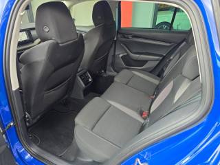 SKODA Octavia usata 96