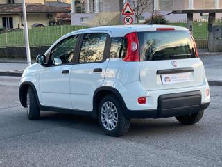 FIAT Panda usata, con Chiusura centralizzata