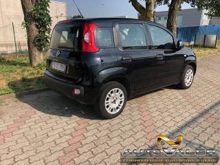 FIAT Panda usata, con Controllo trazione