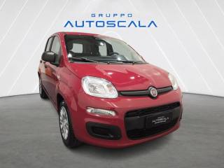 FIAT Pandina usata, con Antifurto