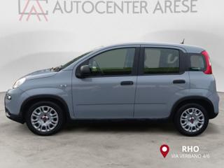 FIAT Panda usata, con Autoradio