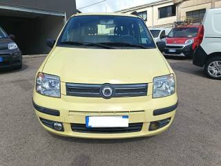 FIAT Panda usata 2
