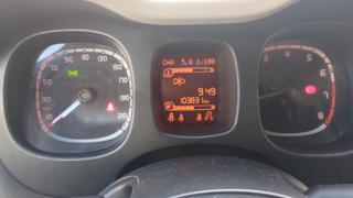 FIAT Panda usata 19
