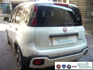 FIAT Panda Cross usata, con Fendinebbia