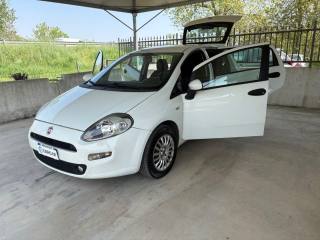 FIAT Punto usata, con Cerchioni in acciaio