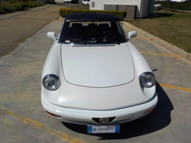 ALFA ROMEO Spider usata 32