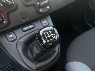 FIAT Panda usata 15