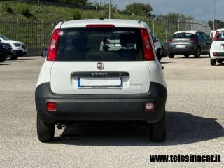 FIAT Panda usata, con Controllo trazione