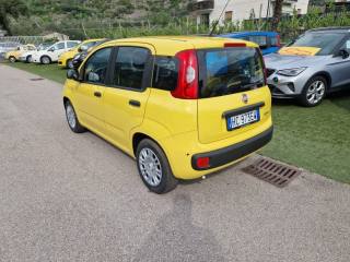 FIAT Pandina usata, con Airbag laterali