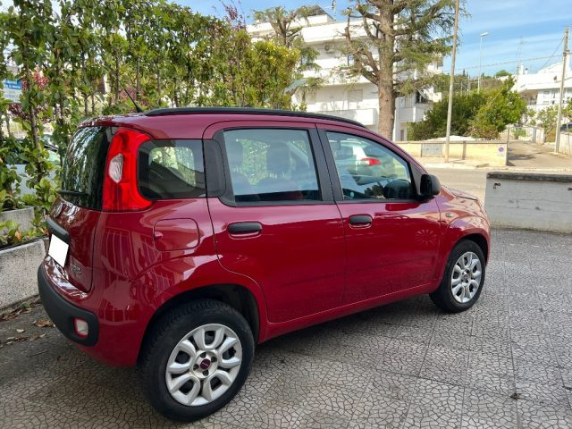 FIAT Panda usata 4