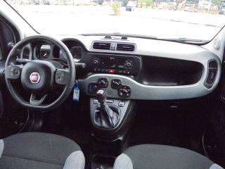 FIAT Panda usata 15