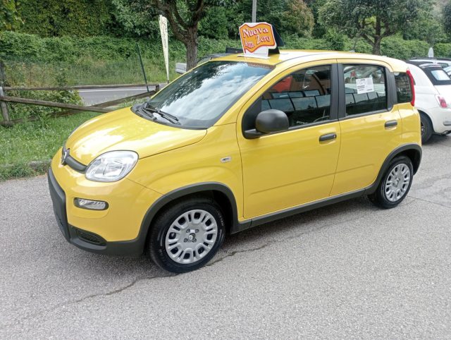 FIAT Panda usata, con Immobilizzatore elettronico