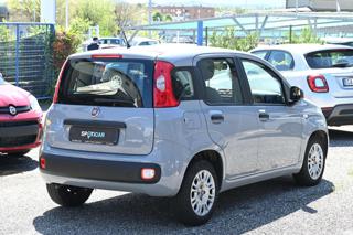 FIAT Panda usata, con Antifurto