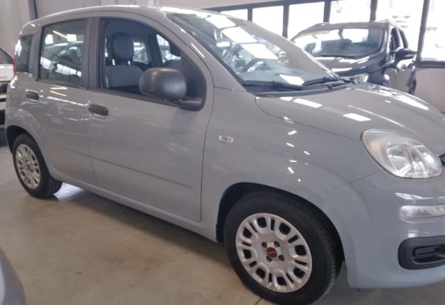 FIAT Panda usata, con Airbag Passeggero