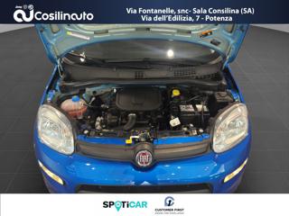 FIAT Panda usata, con USB