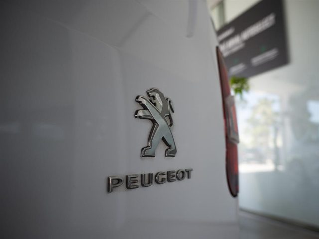 PEUGEOT Partner usata, con Fendinebbia