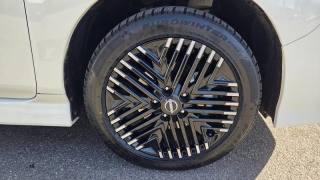 NISSAN Leaf usata, con Boardcomputer