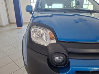 FIAT Panda usata, con Volante multifunzione
