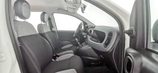 FIAT Panda usata 46