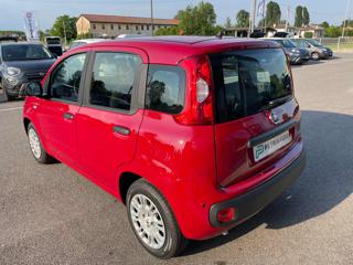 FIAT Panda usata, con Climatizzatore