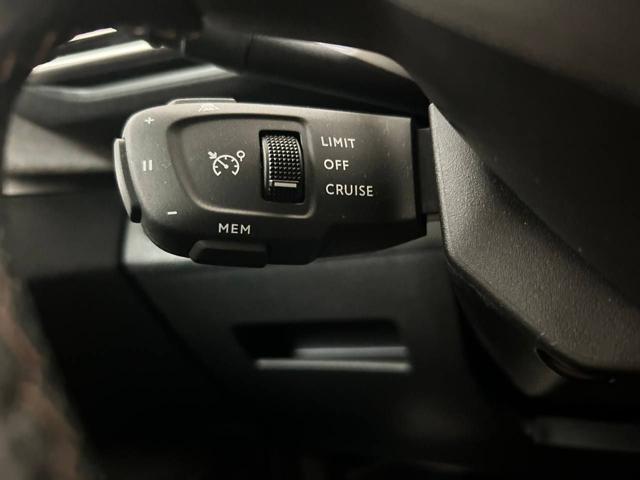 PEUGEOT 3008 usata, con Servosterzo