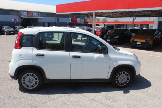 FIAT Panda usata 18