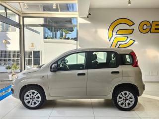 FIAT Panda usata, con Antifurto