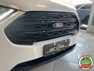 FORD EcoSport usata, con Bracciolo