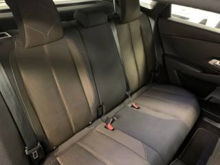 DS AUTOMOBILES DS 7 usata, con Fendinebbia