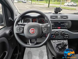 FIAT Panda usata 16
